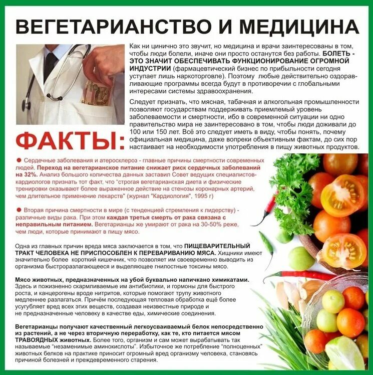 Можно ли человеку есть мясо. Минусы вегетарианства. Вегетарианство питание. Памятка вегетарианство. Вегетарианская диета.