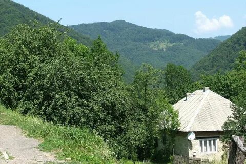 Липецкая поляна