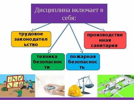 Какие дисциплины включал