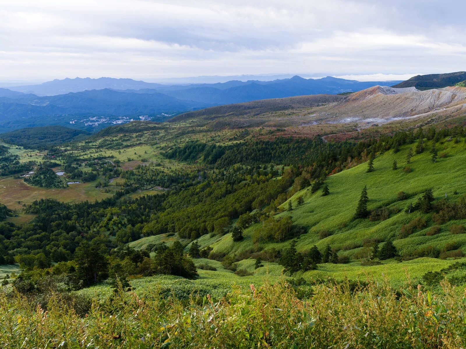 Алазанская Долина гора предгорье равнина. Предгорья Молдовы. Молдова природа холмы. Холмы горы в Молдавии.