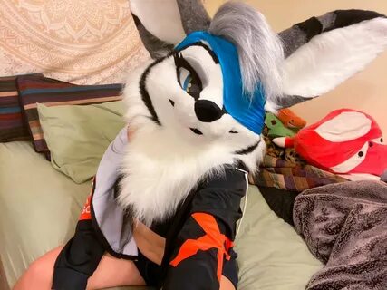 Lolo_Fennec\u0026apos;s tweet photo. ⚡ ️29 ⚡ QRT with your fursona and your age!...