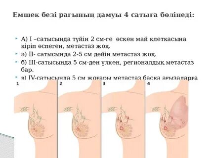 Порно Клаудиа Келли