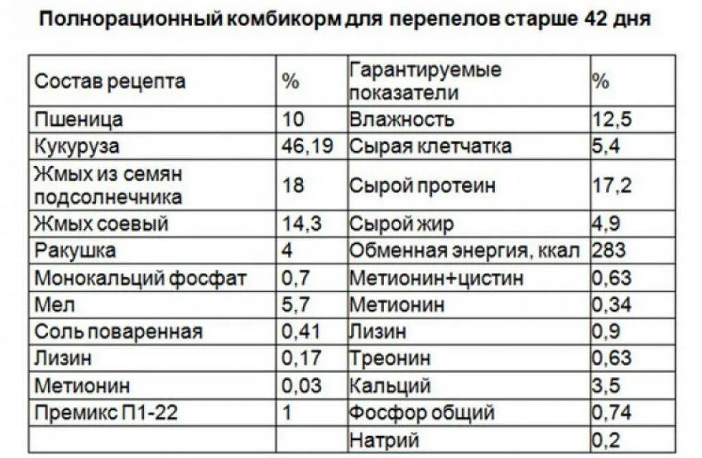 Как давать комбикорм. Комбикорм для перепелов несушек состав. состав корма для перепелов несушек таблица. рацион корма для перепелов несушек. размер гранул комбикорма для перепелов.