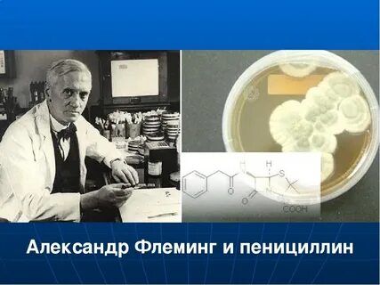 Научное открытие пенициллин