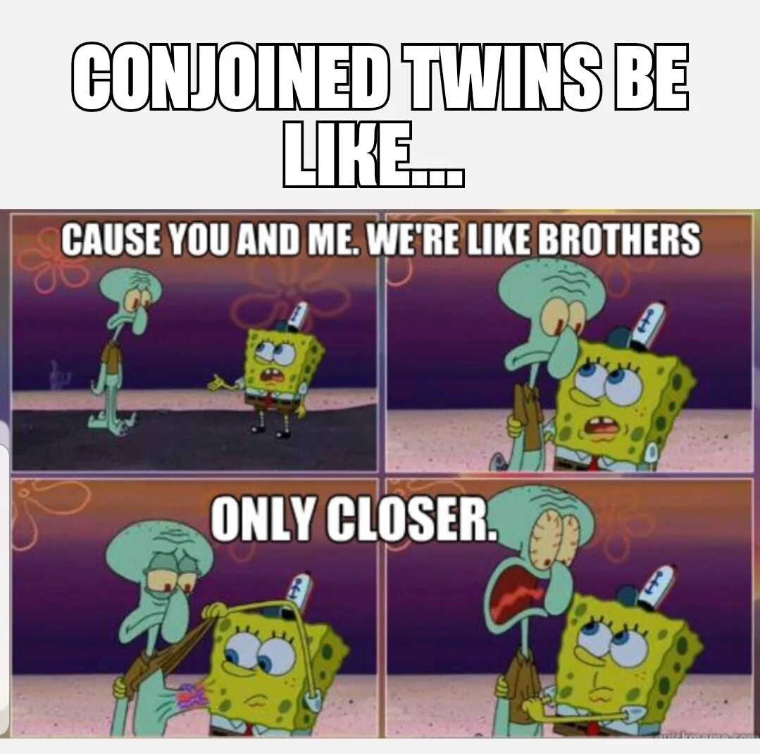 Re like. Spongebob meme close. You were like brother. "We're like brothers, only closer".