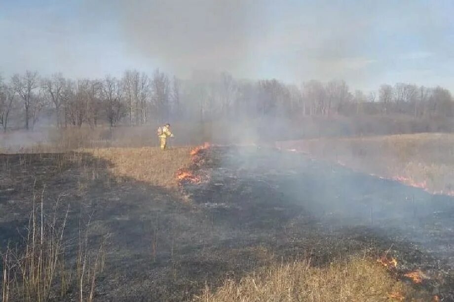 Экология региона нижегородской. Пожароопасный период. Пожары в Навашинском районе. Пожары лесов. Поджог сухой травы.