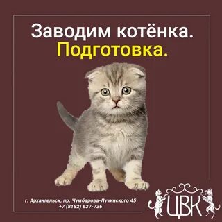 Чтоб заводить