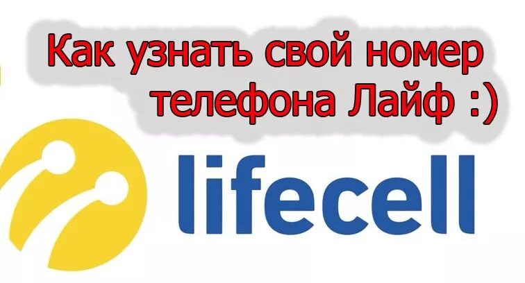 Лайф номер. Номер телефона вредина лайф. Как узнать номер телефона Life. Как узнать свой номер на лайфе. Узнать свой номер лайф