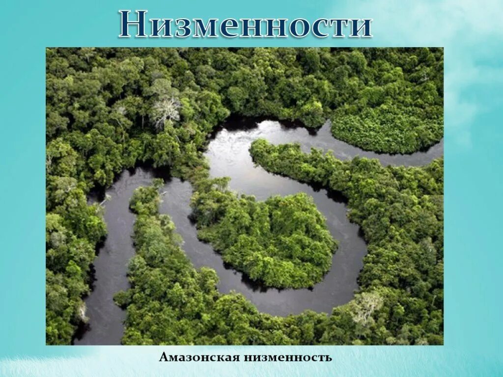 Полноводная река планеты. Амазонка. Амазонская низменность слайд. Амазонка слайд. Река Амазонка презентация.