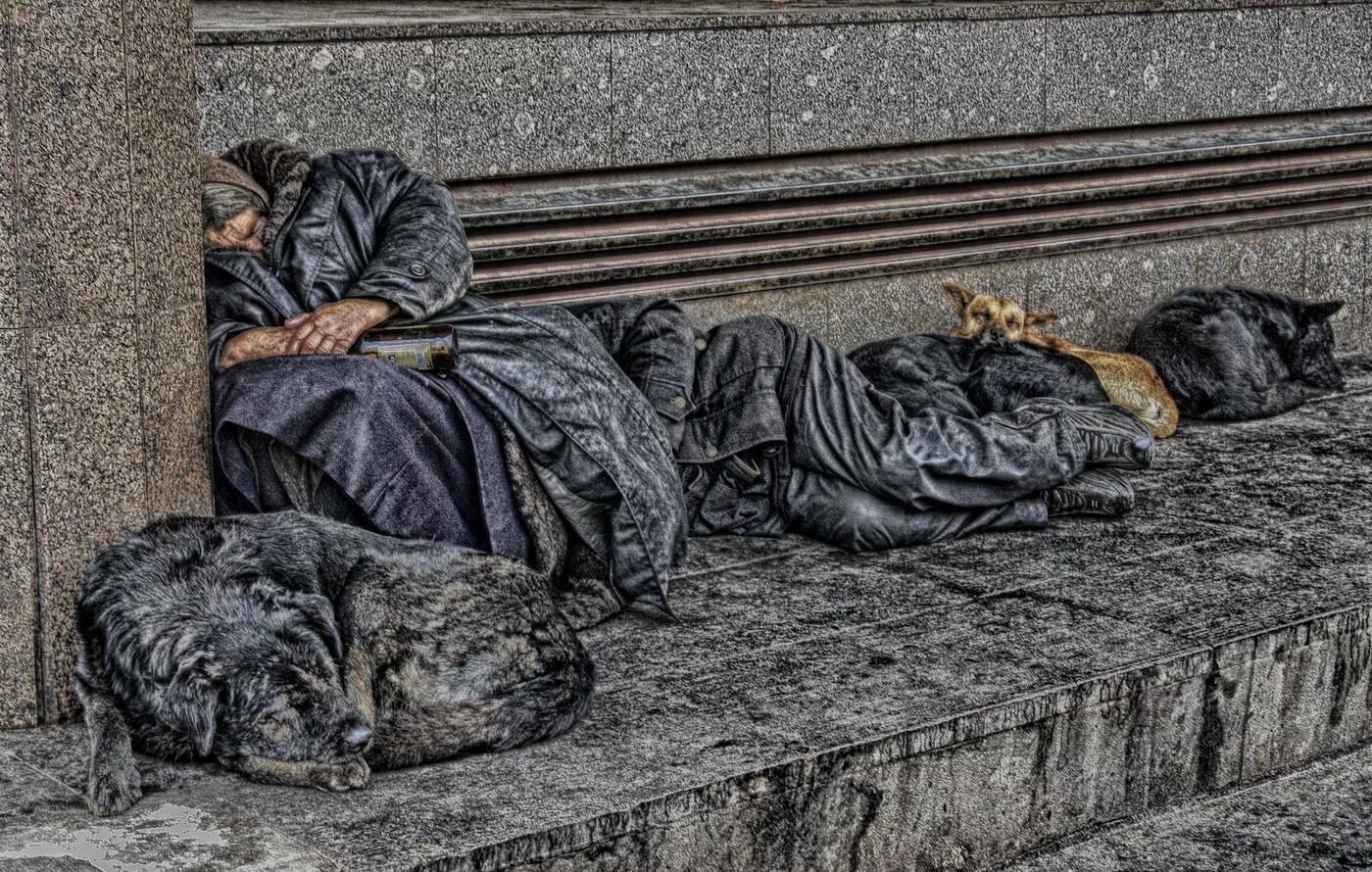Виды бездомных