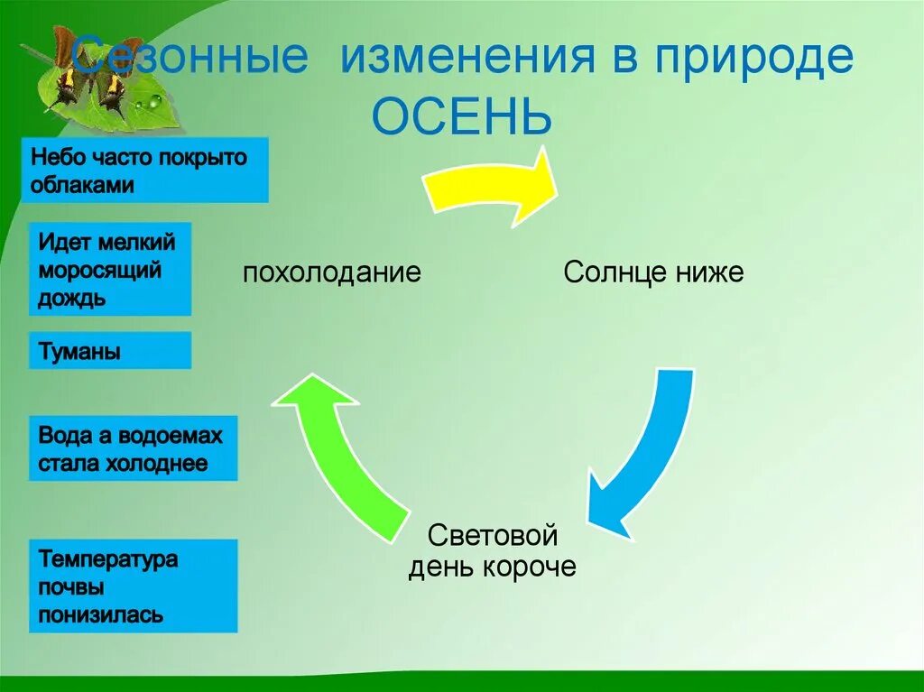 Сезонные изменения в жизни организмов краткий пересказ. Сезонные изменения в природе летом. Сезонные изменения растений и животных. Сезонные изменения в жизни растений. Изменения в природе происходят.