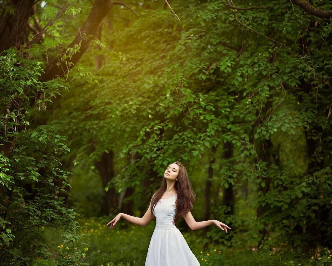 Delphine in the forest