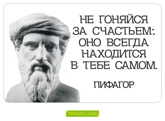 Гонятся нужно. Высказывания Пифагора. Пифагор цитаты. Пифагор крылатые выражения. Цитаты Пифагора о философии.