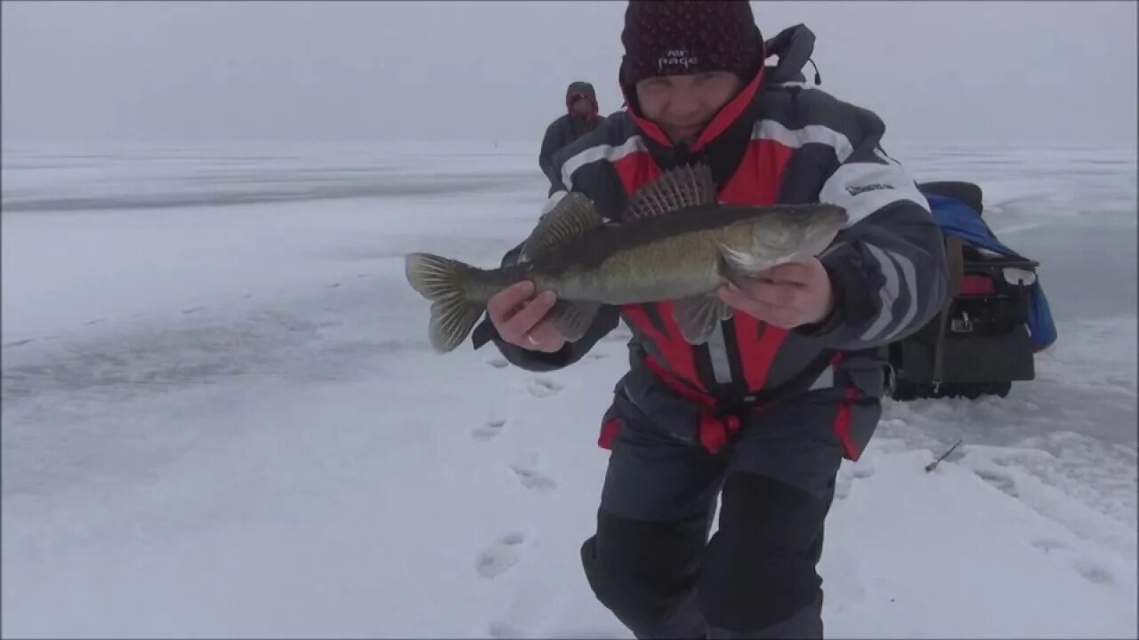 Ловля ратлинами зимой видео. Ловля судака зимой на ратлины. чуланов ратлины. чуланов ловля судака зимой.