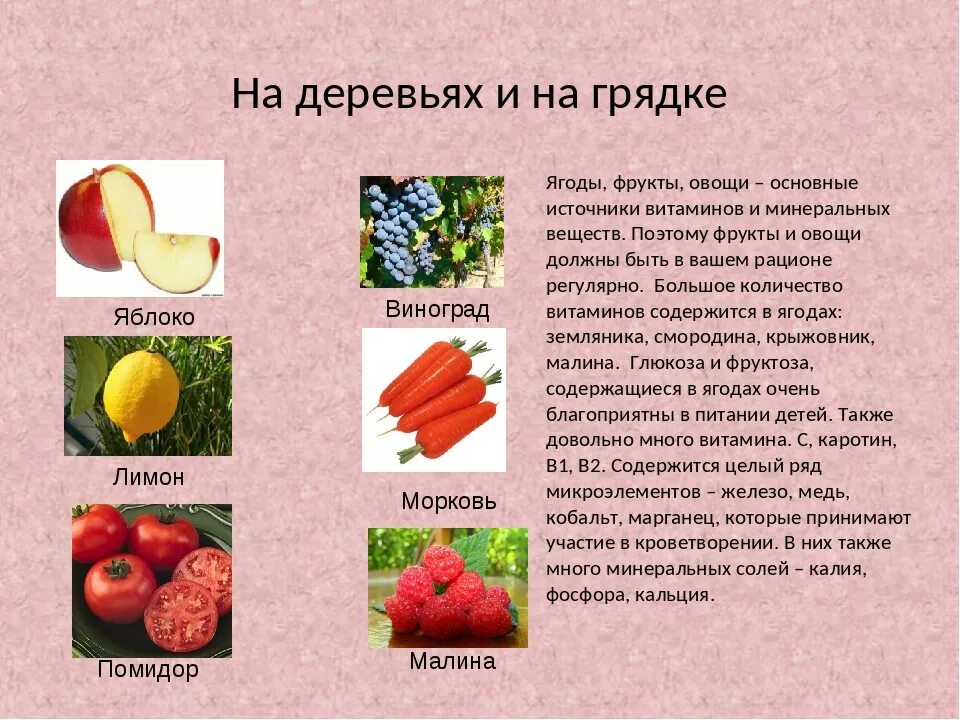 Полезные фрукты и овощи. Витамины в овощах и фруктах. Проект полезные овощи. Полезные фрукты. Содержится в ягодах и фруктах