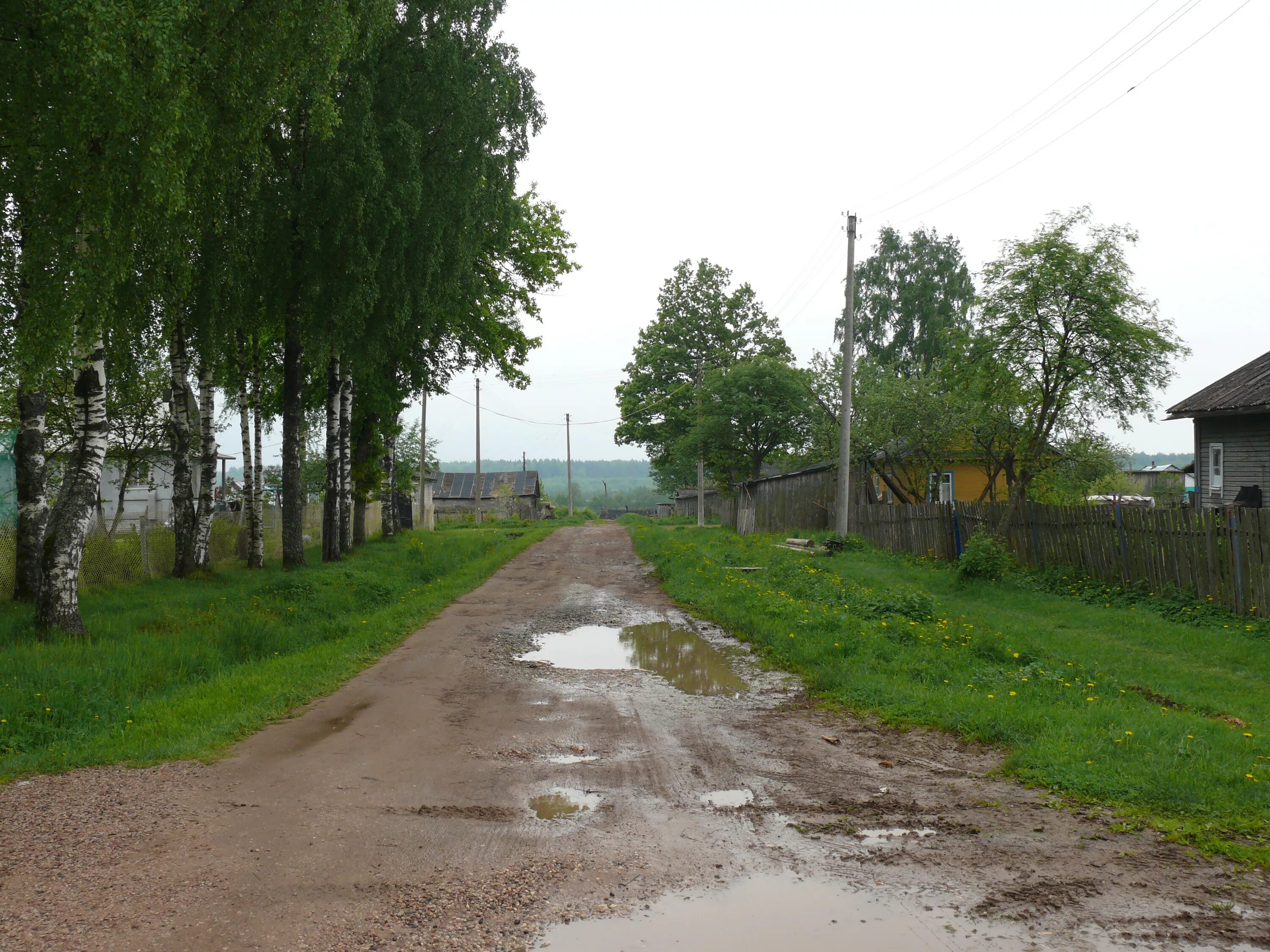 Плашкино фото. Усадьба плашкино на мсте. Новгородская обл. Новгородская обл. Плашкино новгородская.