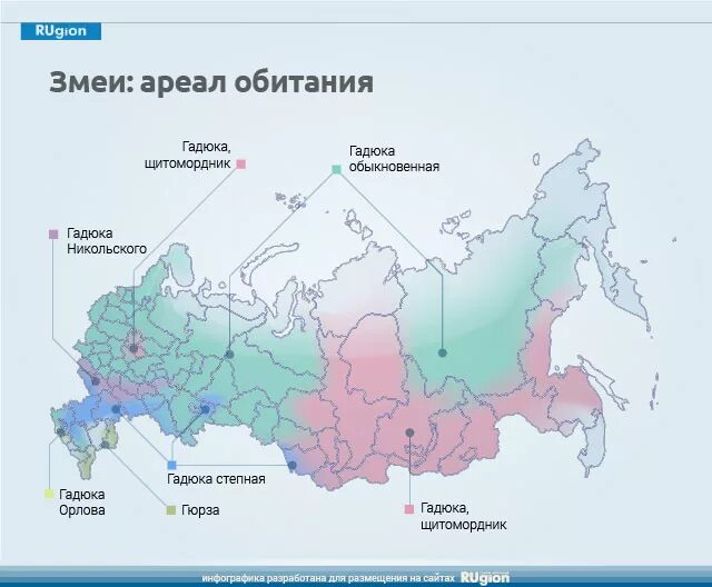 В каком городе обитают