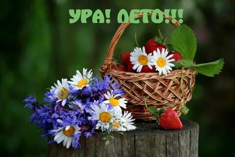 Красивые картинки с 1 днем лета
