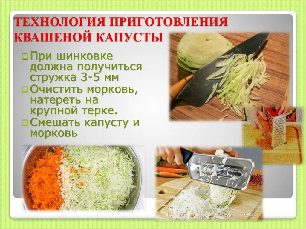 Технологическая схема квашеной капусты. Технология квашения капусты. Рецепт квашеной капусты в картинках. Инвентарь для приготовления салата из квашеной капусты.