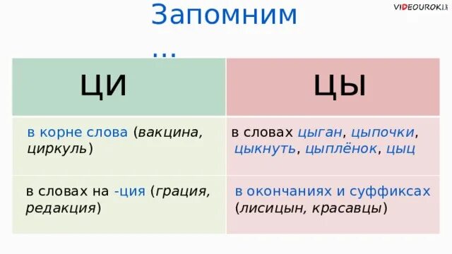 Ы це. Цы-Ци правило. Слова с цы и Ци. Правописание Ци и цы правило. Слова на правило Ци и цы.