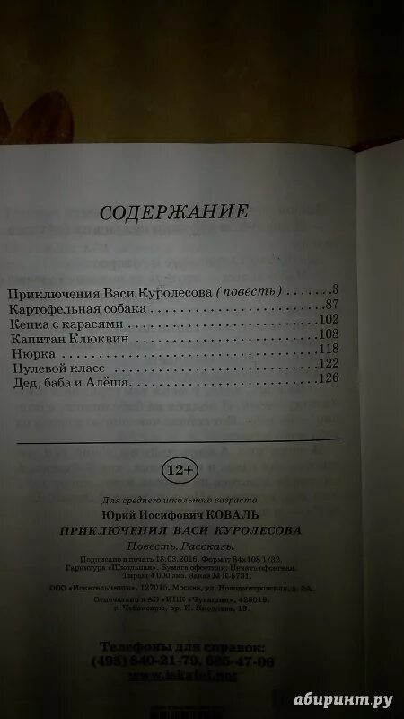 Приключения Васи Куролесова книга содержание. Коваль приключения Васи Куролесова оглавление. Коваль приключения Васи Куролесова сколько страниц. Ю Коваль приключения Васи Куролесова оглавление. Краткий пересказ приключения васи куролесова по главам