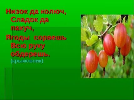 Красные ягоды стих