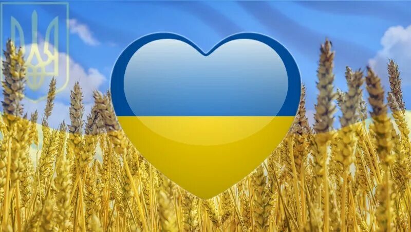 Мемы про Украину. Украинские мемы. Слава Украине. Слава Украине мемы. Мов україна