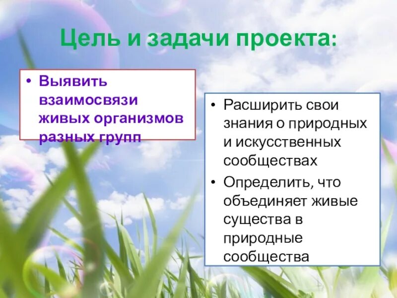 Искусственные природные сообщества. Цели и задачи проекта природное сообщество-. Природные и искусственные сообщества живых организмов. Взаимосвязь цели и задачи проекта. Проект природное сообщество