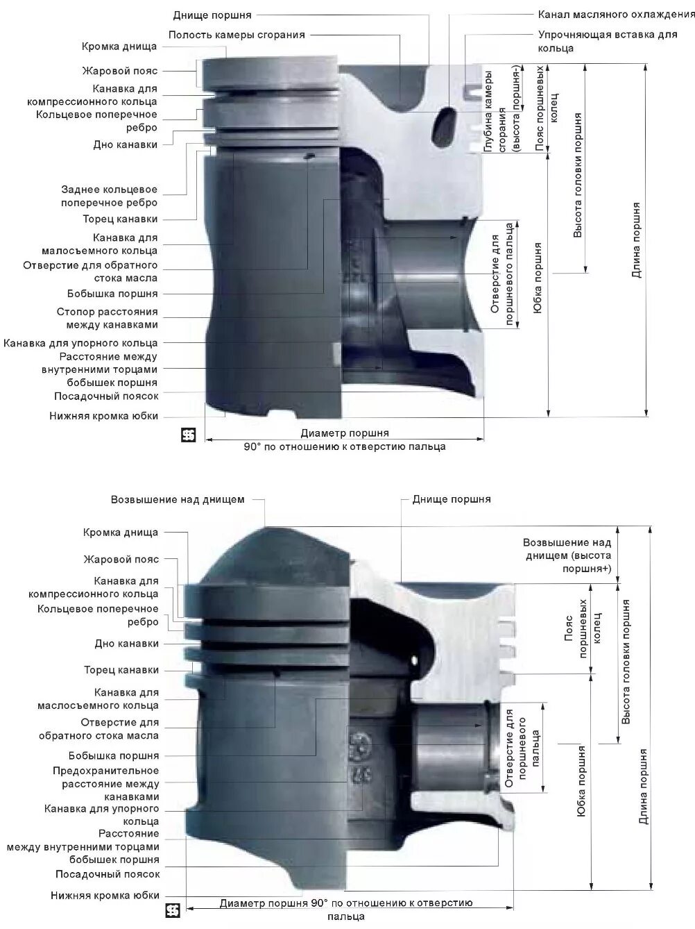 Средняя часть поршня. Поршень дизельного двигателя конструкция. Тронк головка поршня бобышки. Структура поршня двигателя. Головка поршня юбка поршня бобышка.