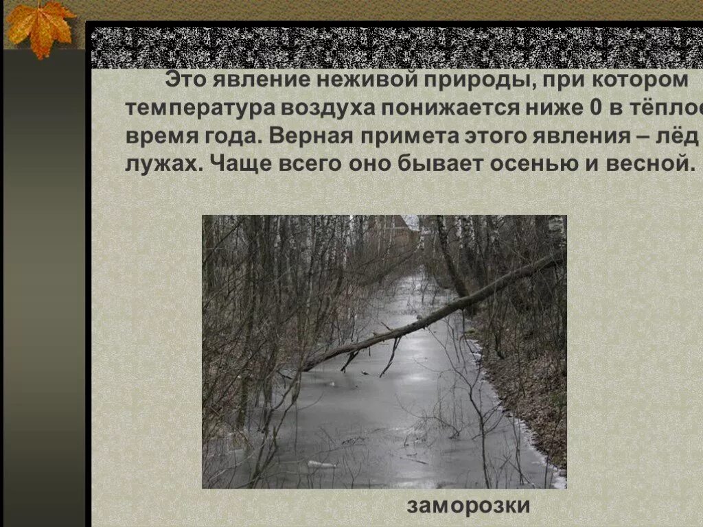 Неживая природа природные явления