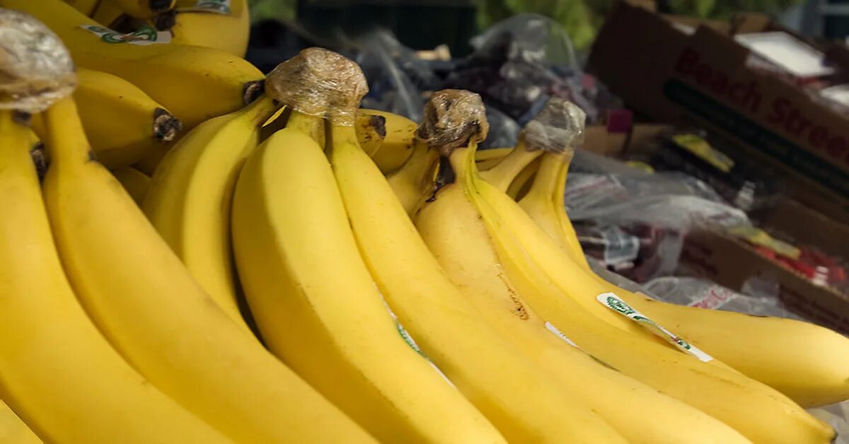 Где можно купит банан. Бананы на Кипре. Эквадор экспорт бананов. Бананы из Эквадора. Бананы на Филиппинах.