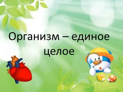 Организм единое целое 5 класс