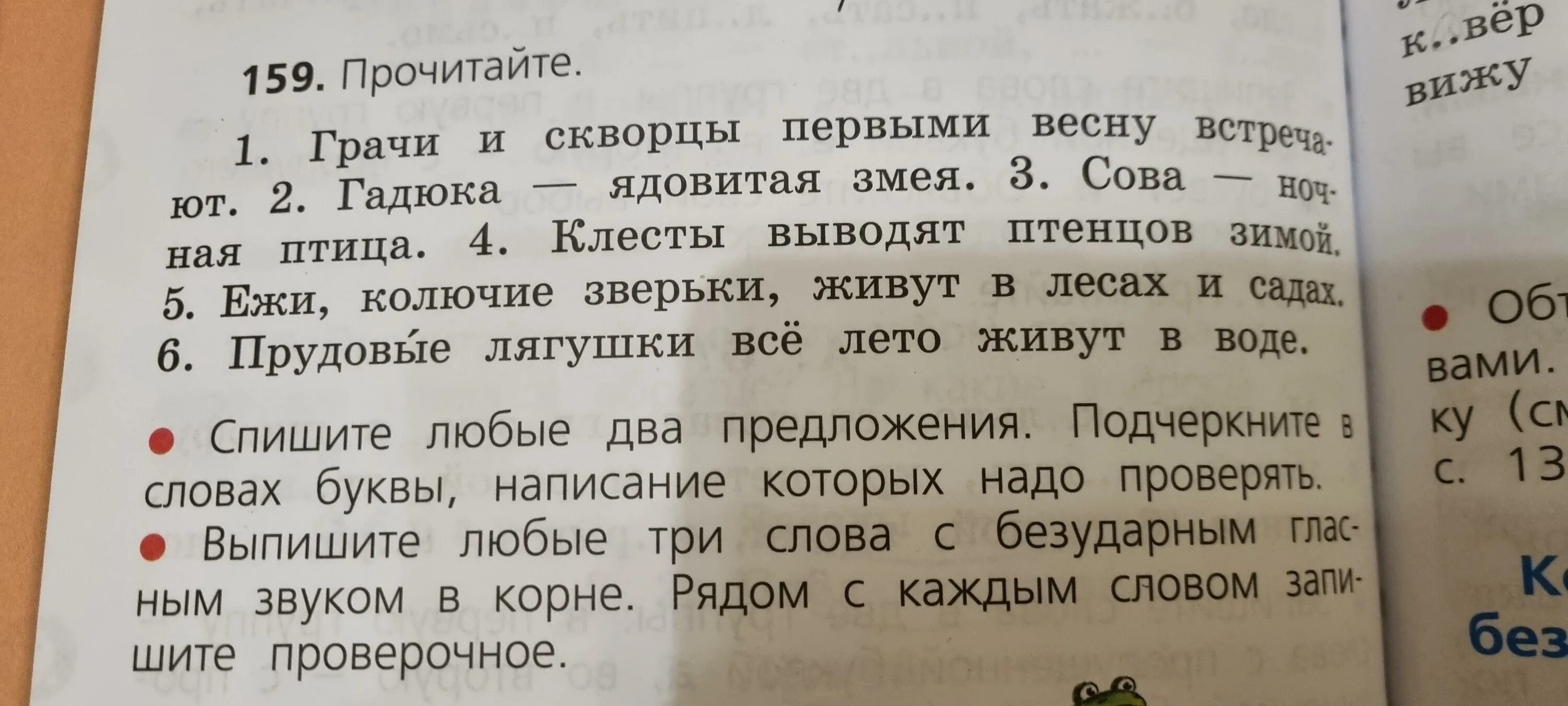 Спишите любые два предложения. Списать любые два предложения. Подчеркни в каждом слове букву написание которой надо проверять. Подчеркни буквы написание которых надо запомнить слово волк. Подчеркни буквы которые нужно проверять