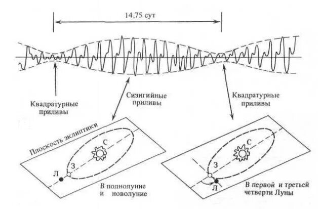Как ощущаются приливы. Квадратурный прилив. Сизигийный прилив. Сизигийные и квадратурные приливы. Сизигийные приливы схема.