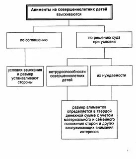 Размер алиментов на совершеннолетнего ребенка