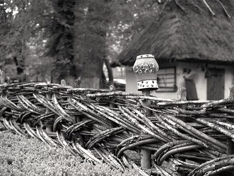 тын 8. забор плетеный из прутьев. плетеная лоза изгородь. забор частокол. тын 8.