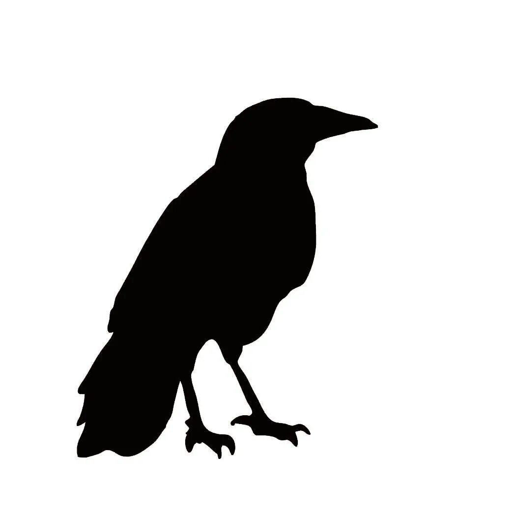 Ворон символ. Силуэт вороны. Ворона. Грач символ. Ворон силуэт.