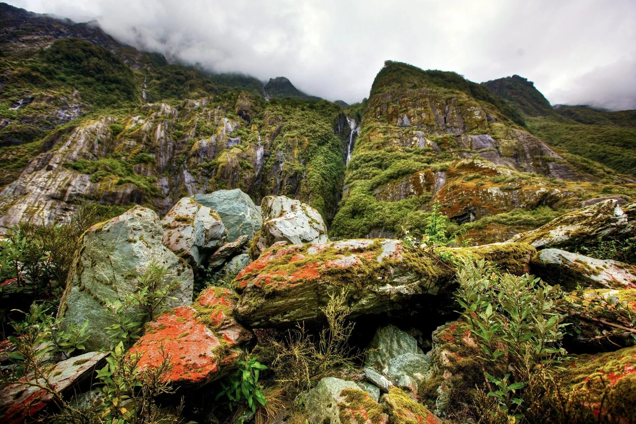 Курумы новая Зеландия. Лишайники Кольского полуострова. Камни в горах. Лишайники в горах. Зарастание скалы