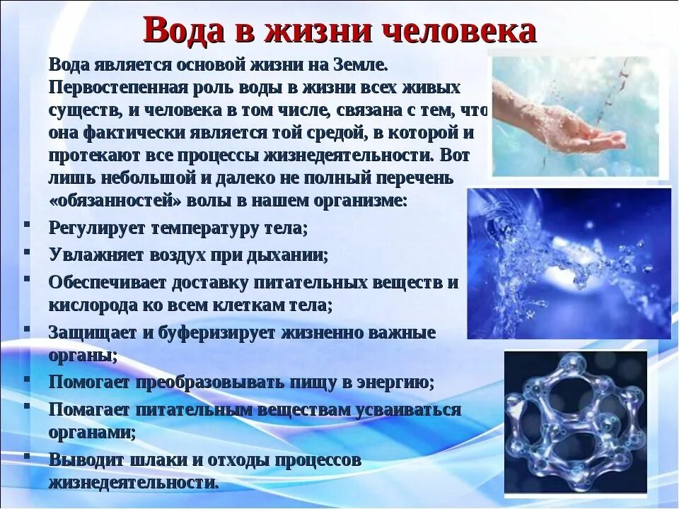 Почему всегда вода. Вода в жизни человека. Роль воды в жизни человека. Важность воды в жизни человека. Значимость воды в жизни человека.