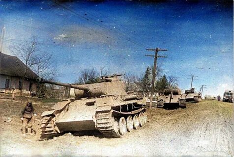 1944 г
