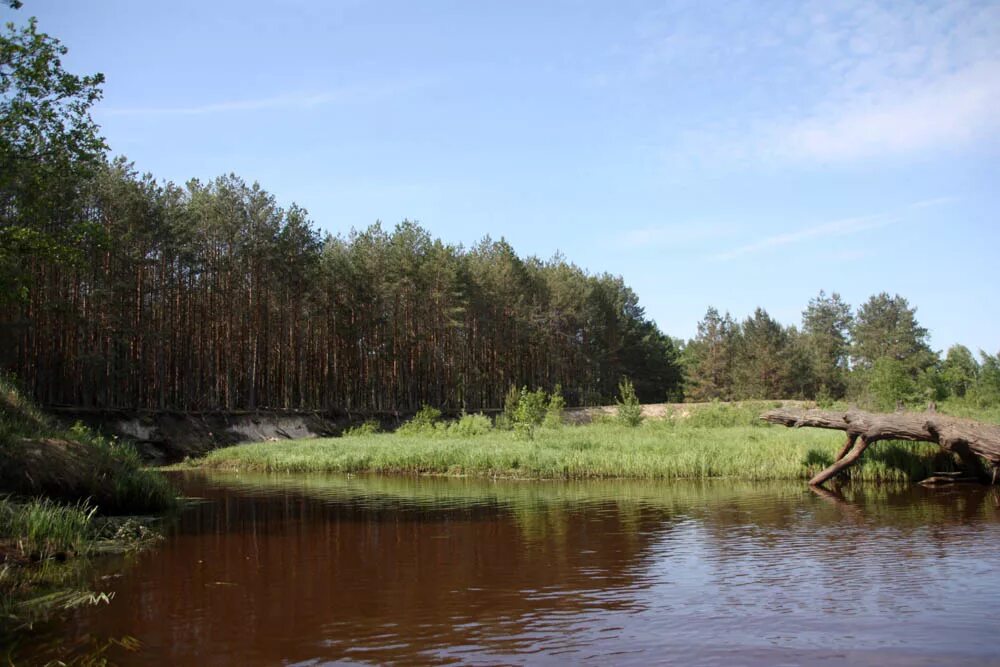 река в белоруссии 5 букв