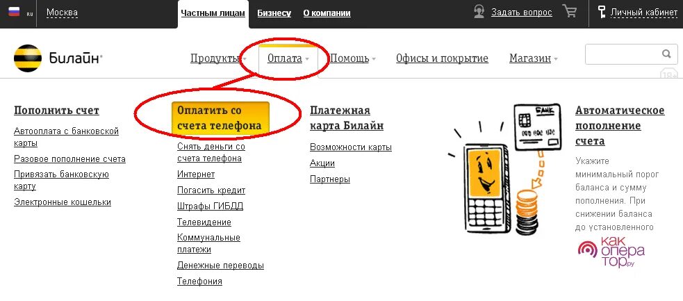 Как перекинуть телефона телефон билайн. Баланс сим карты Билайн. Карта пополнения Билайн. Положить на счет Билайн мобильная связь. Как оплатить счет Билайн не телефон.