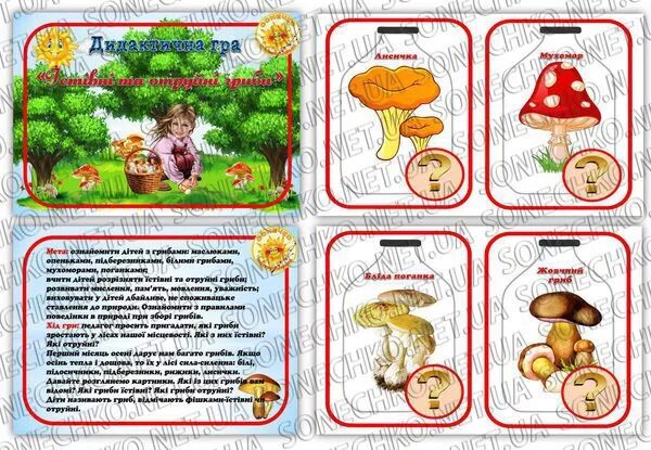 съедобные грибы памятка. памятка грибнику 10 правил. какое правило грибников нарушил витя окружающий. памятка правильного сбора грибов. памятка сбора грибов.