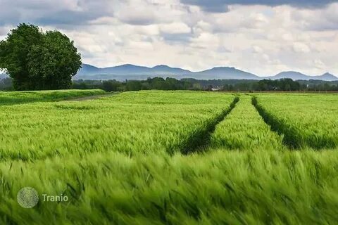 Farmland