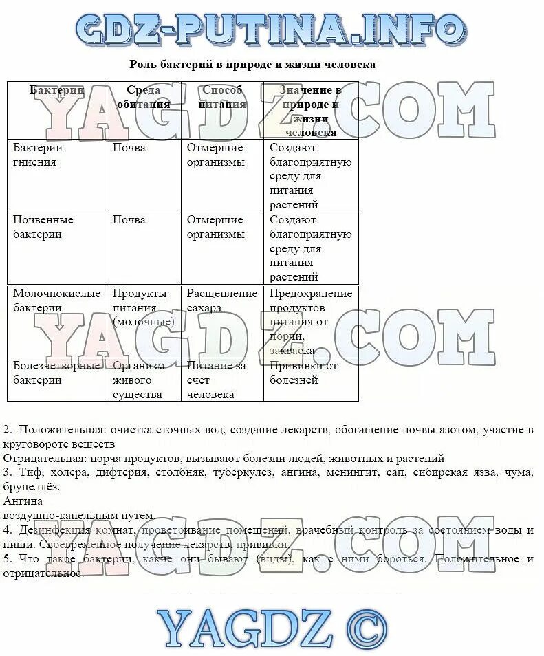 Биология 5 класса параграф 11. Биология биология 5 класс 11 параграф таблица. Таблица бактерии 5 класс биология. Темы практической работы по биологии 5 класс. Таблица по биологии 5 класс бактерии.