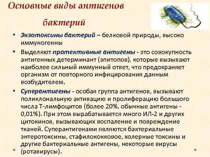 Протективные инфекционные антигены иммунология. Антигены белковой природы. Иммунология инфекционного процесса. Антигены белковой природы примеры. Антигенные свойства бактерий