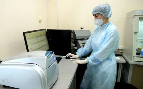 Ветеринарная кострома