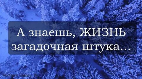 Стих а знаешь жизнь