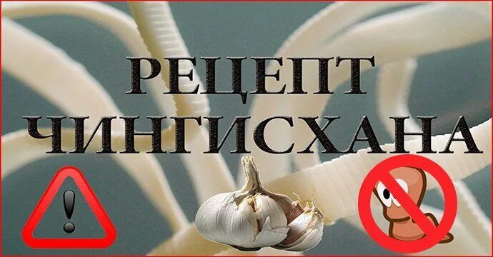 Чистка чингисхана. Метод Чингисхана. Метод Чингисхана чеснок. Рецепт Чингисхана. Метод Чингисхана очищение чесноком.