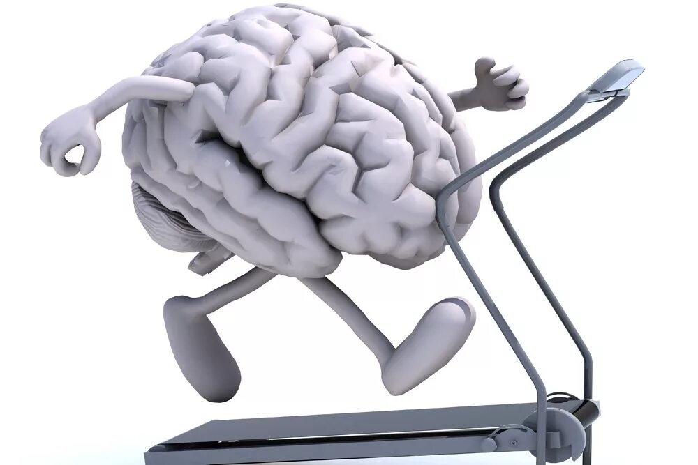 Muscle memory